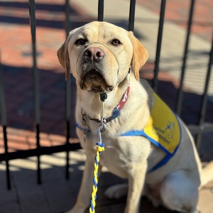 Fundraising Page: Laura Toelle